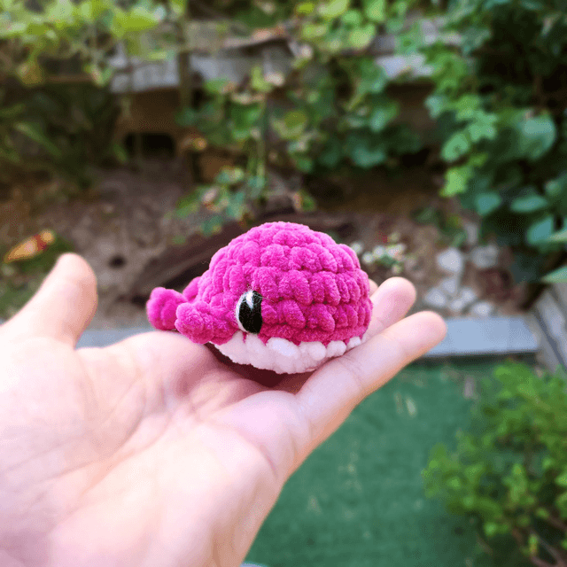Mini baleines