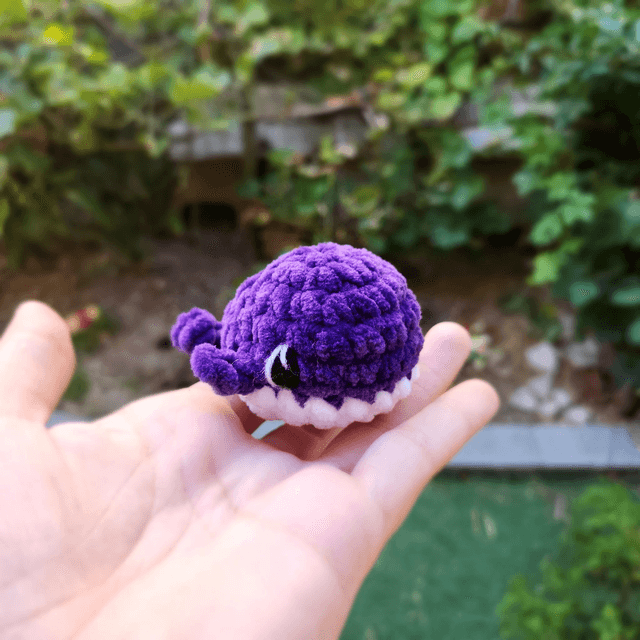 Mini baleines