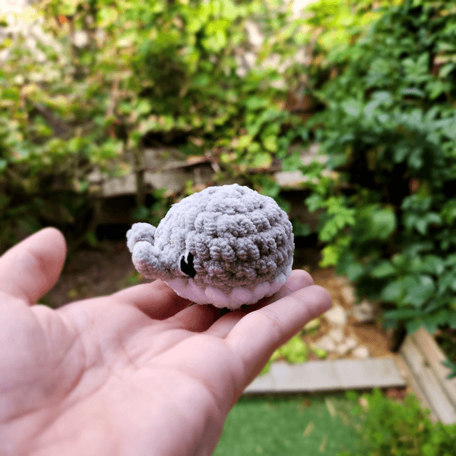Mini baleines