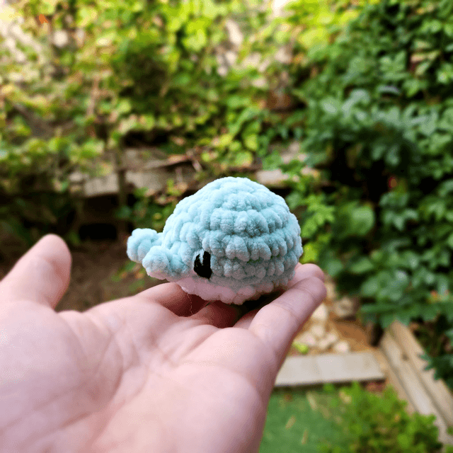 Mini baleines