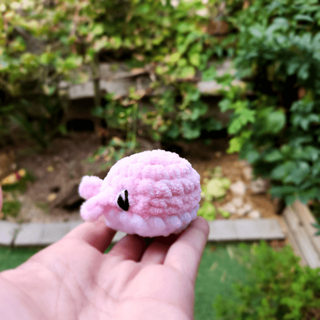 Mini baleines