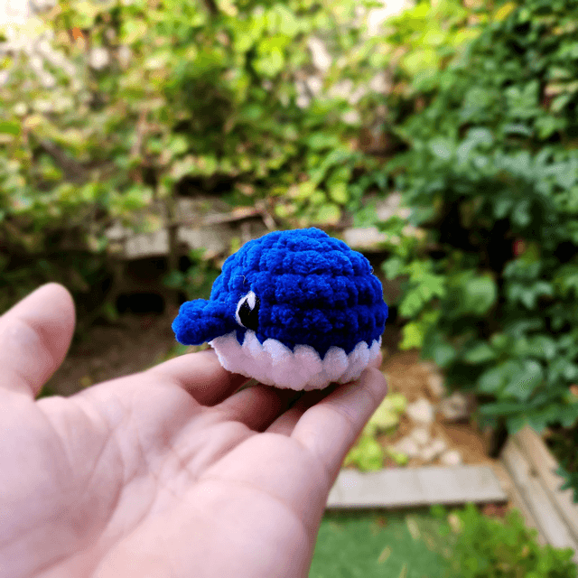 Mini baleines
