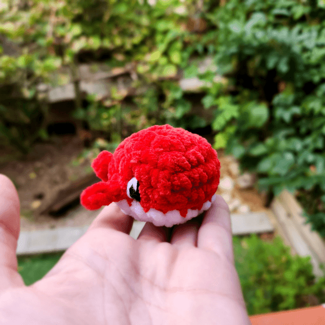 Mini baleines