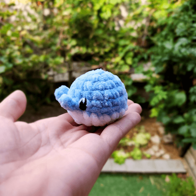 Mini baleines