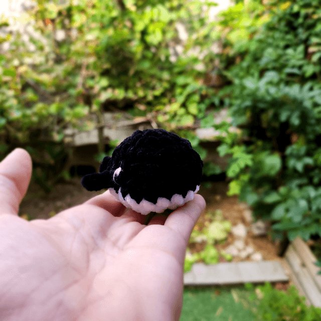 Mini baleines