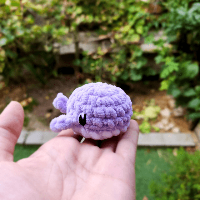 Mini baleines